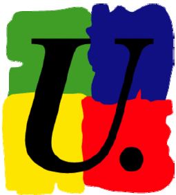 La FSU Mayotte se mobilise contre le 49.3