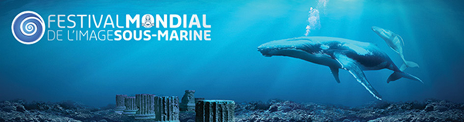 Inscription au Festival de l’image sous-marine de Mayotte