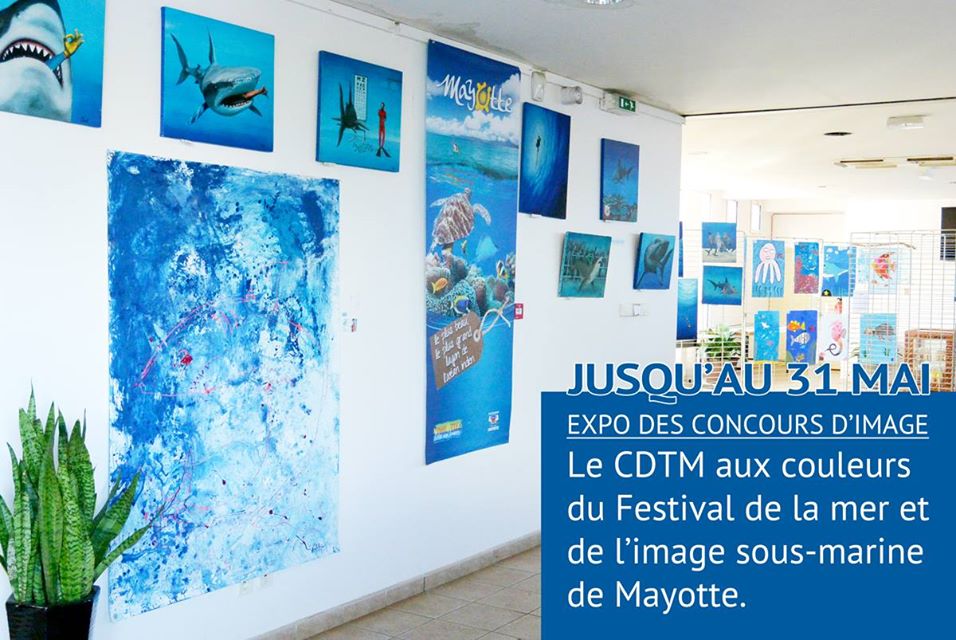 Le Festival de l’image sous-marine s’intéresse aux requins