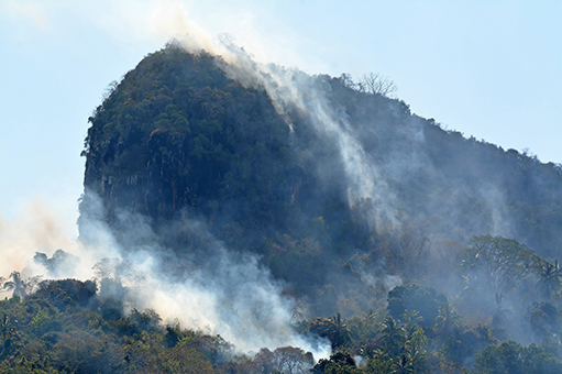 Attention aux feux de forêts