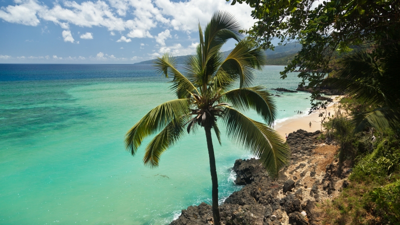 Sada : elle abandonne son bébé de 6 mois devant un cocotier