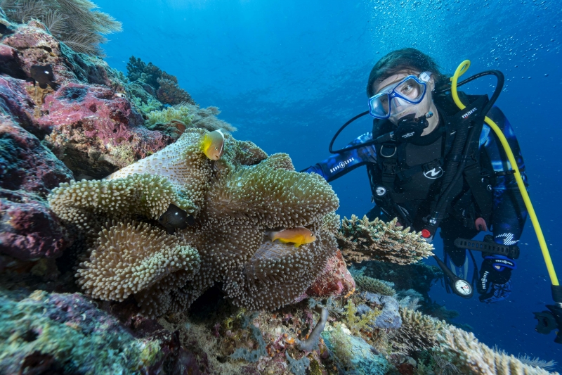 Noyade d’une femme à Bandraboua