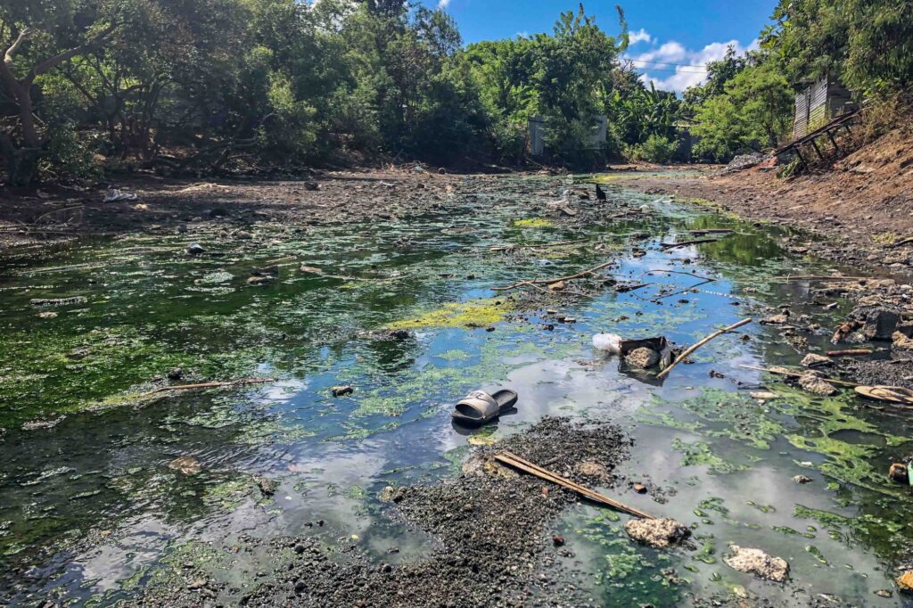 GLB350Insalubritebidonvilleslabattoir ID14179 2000x1333 1