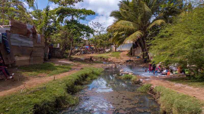 71 cas de leptospirose à Mayotte en 2020
