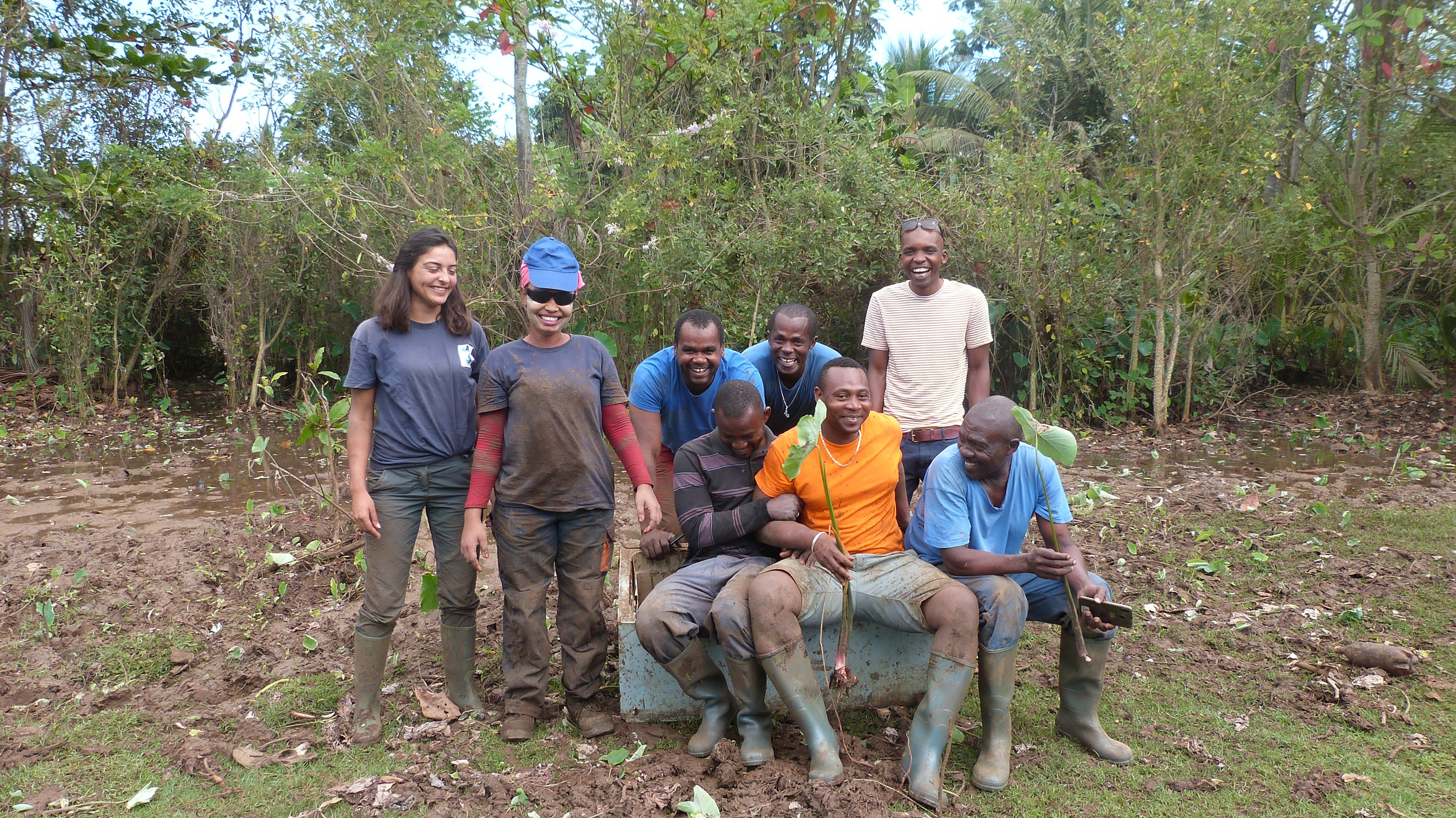 Les zones humides en déclin