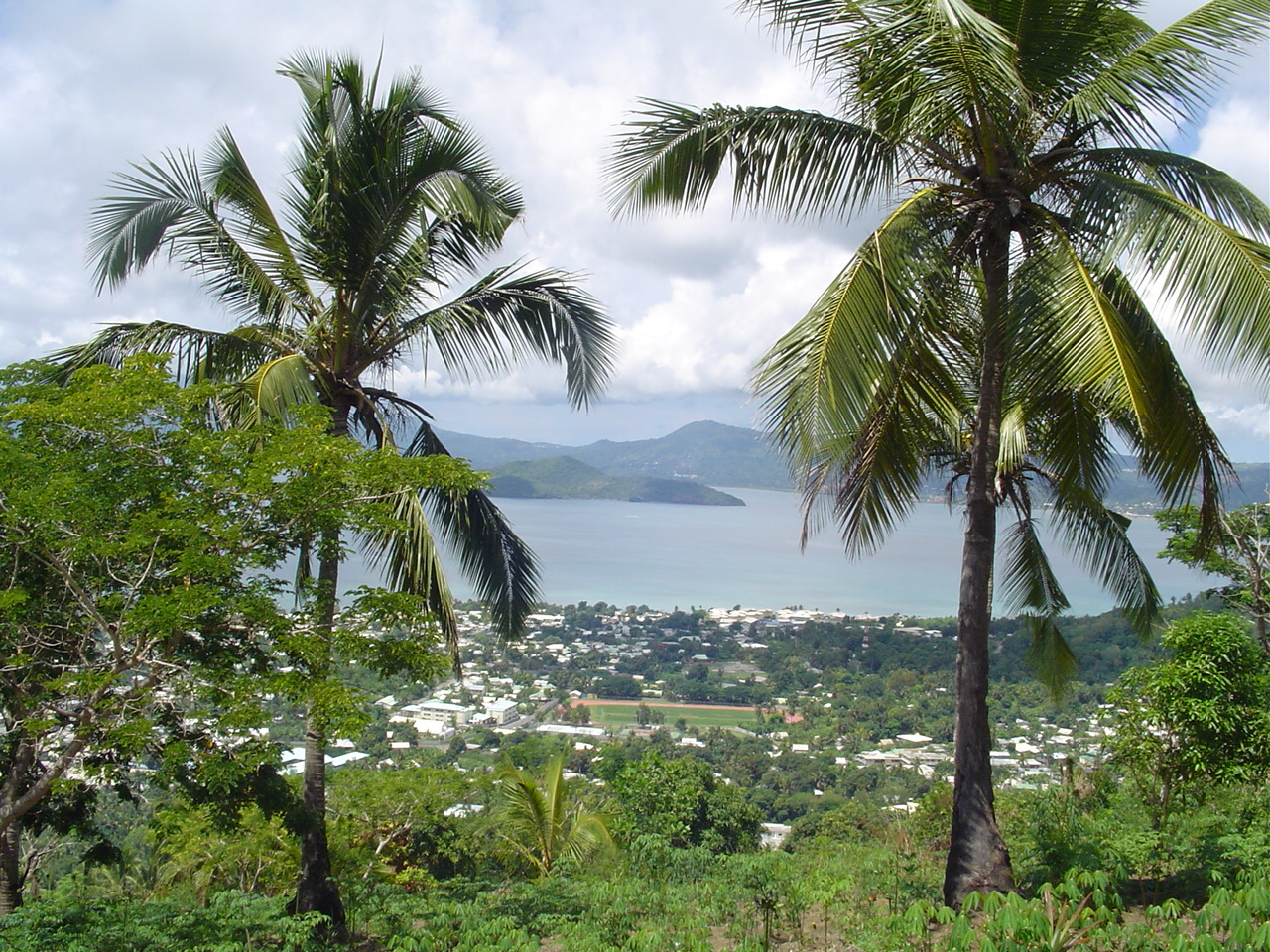 Pamandzi : vols et agressions entre La Vigie et Moya