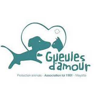 Un nouveau bureau pour diriger l’association Gueule d’Amour après la condamnation de son président