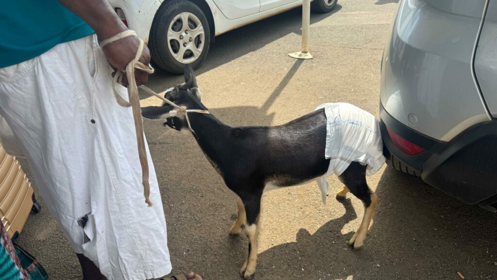 IMG 20250214 WA0090 scaled 1