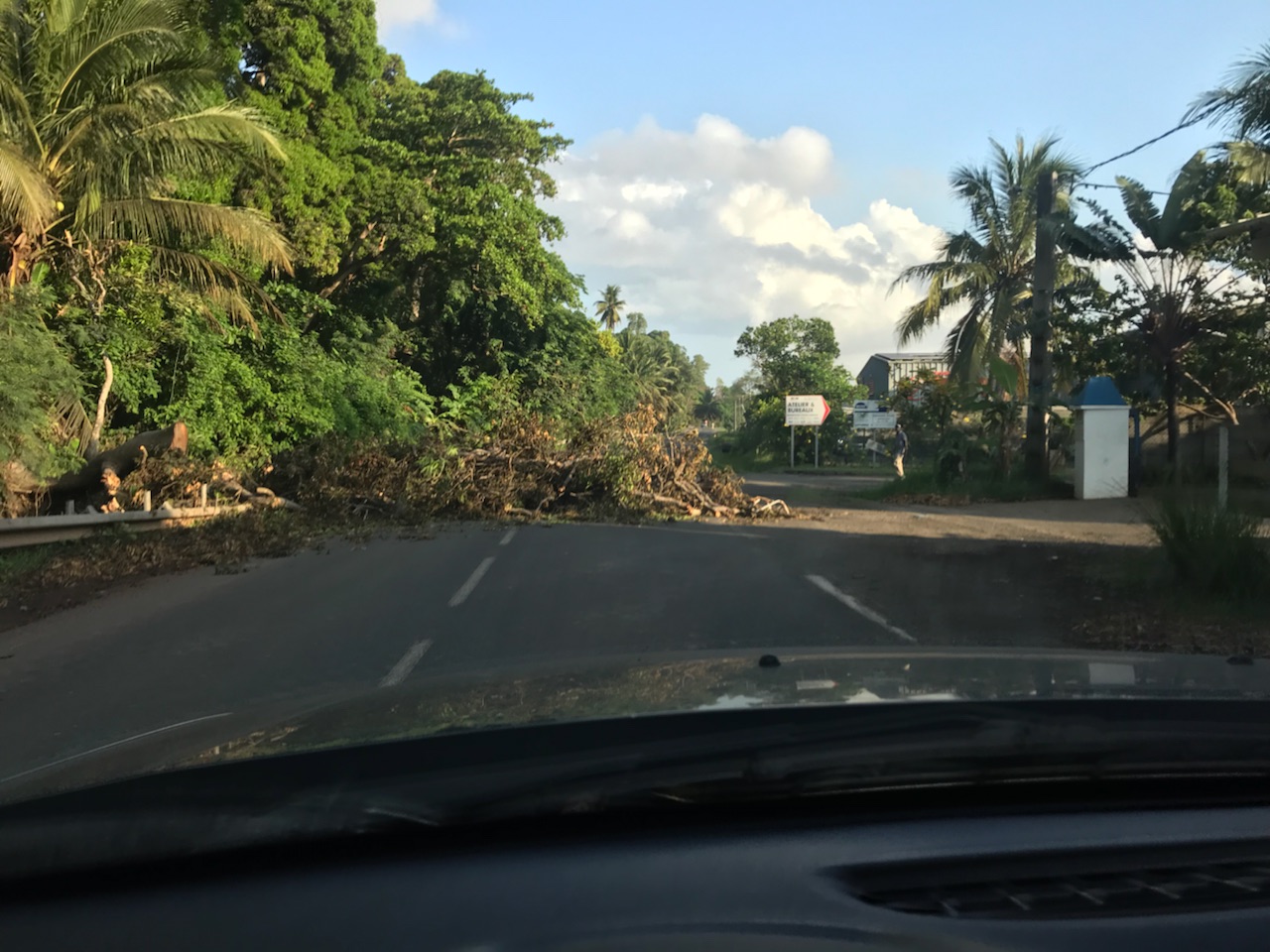 Un arbre en travers de la route à Longoni
