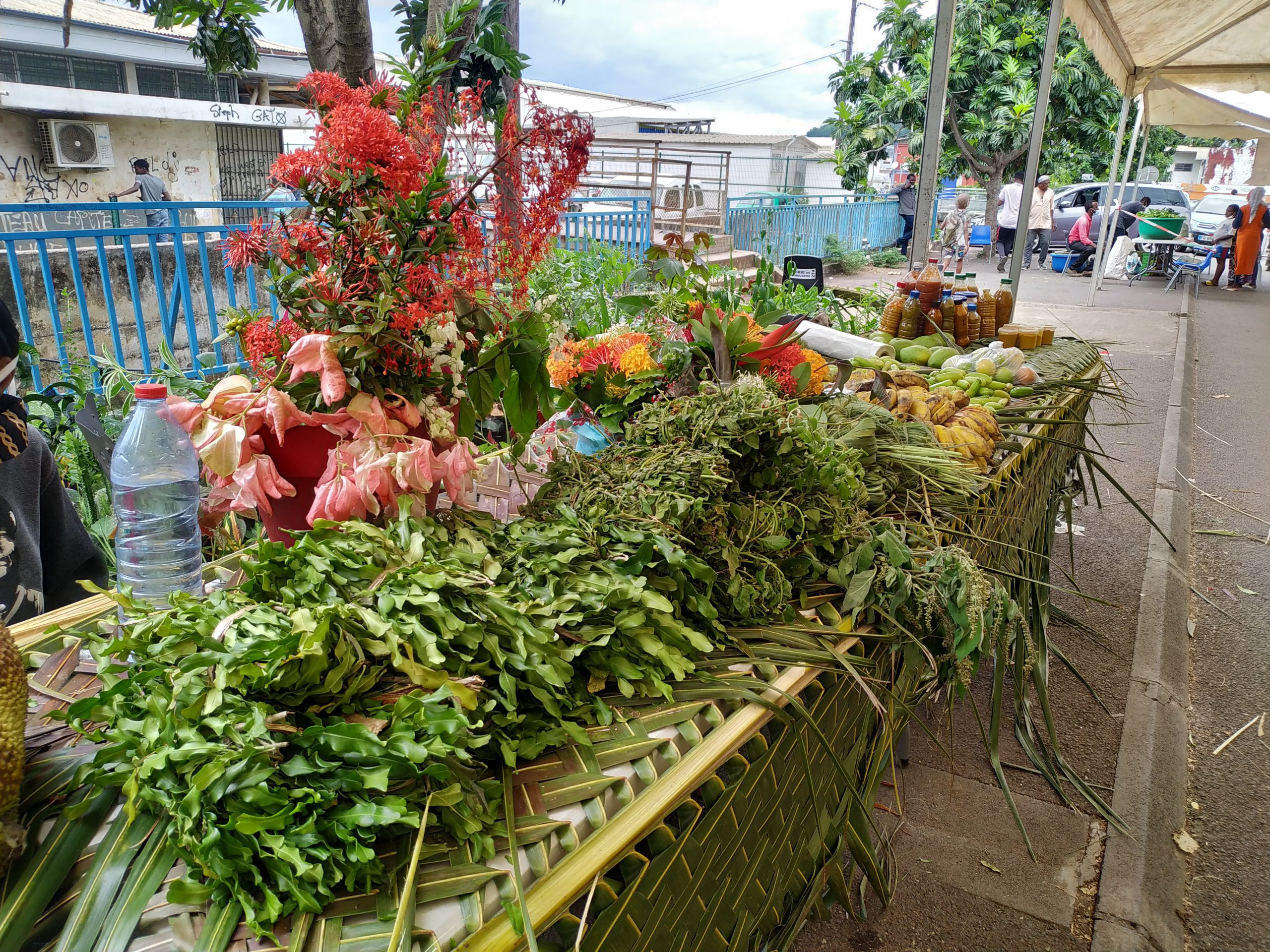 La foire agricole de Kawéni porte ses fruits