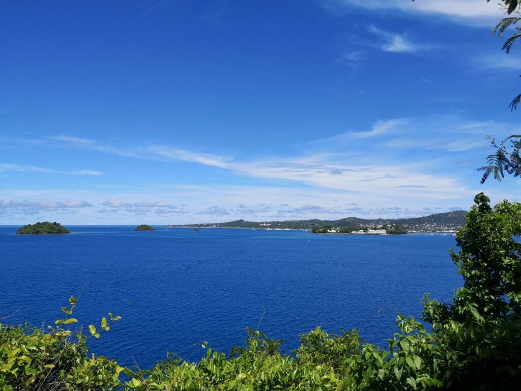 IMG 20231230 134306 edit 167857153394177 scaled 1