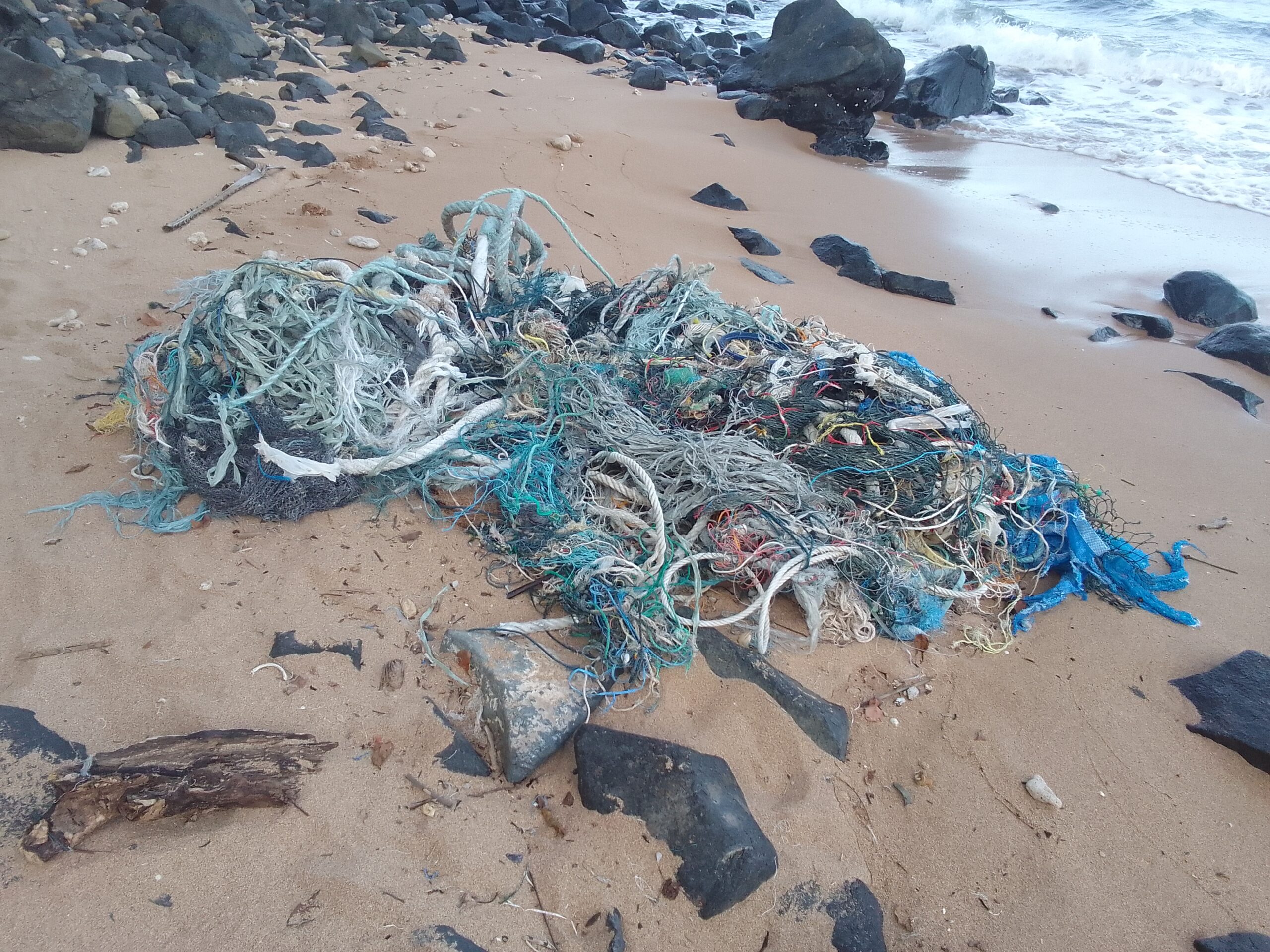 Alerte à la pollution sur la plage de Saziley