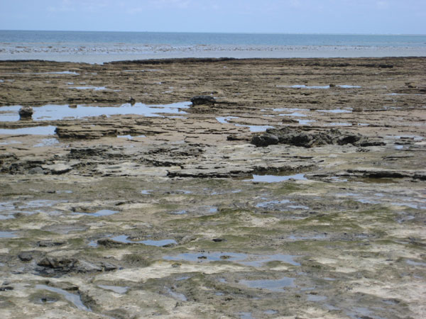 Attention elle arrive