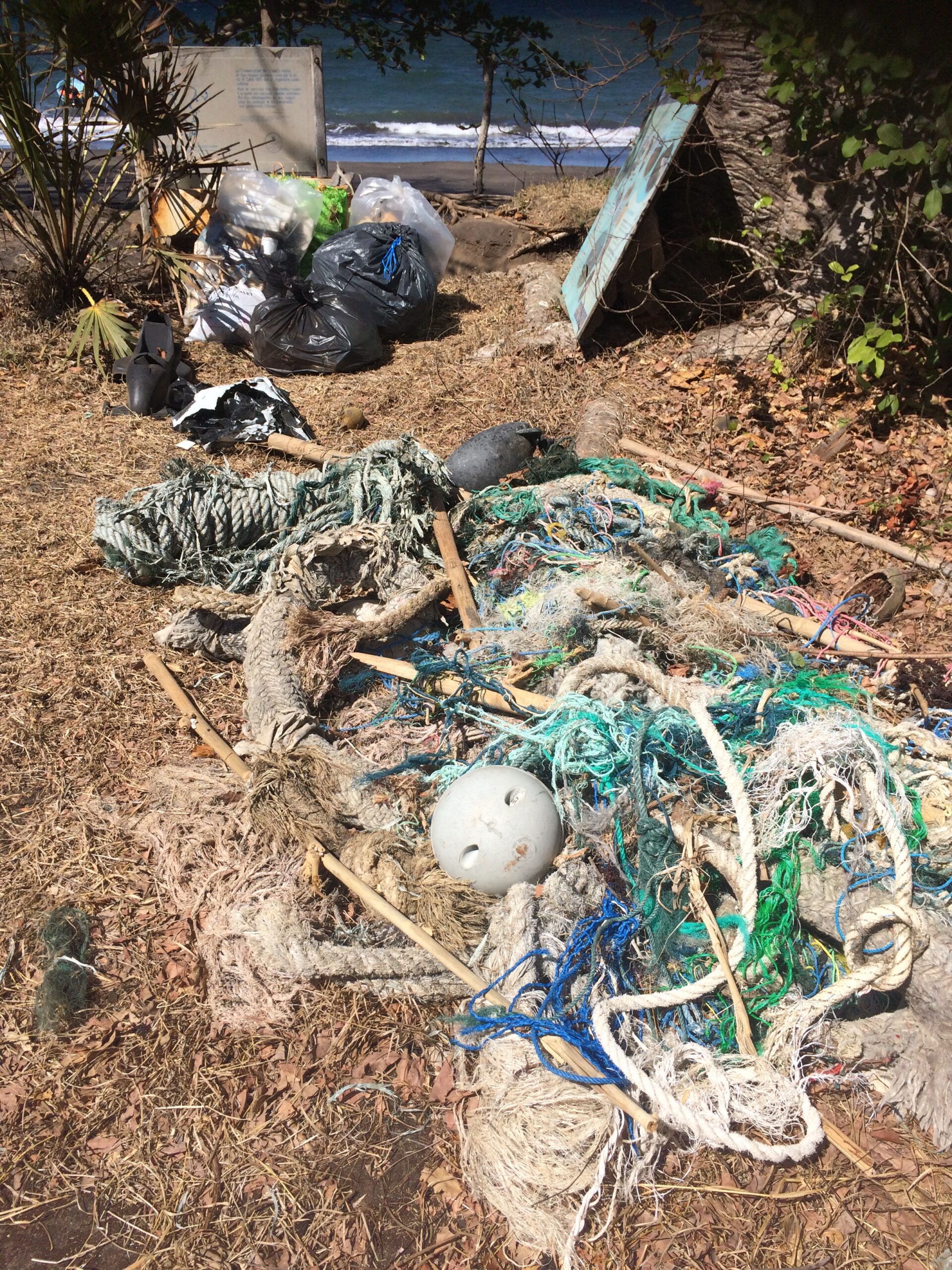 What’s up Mayotte? concilie activité sportive et écologie
