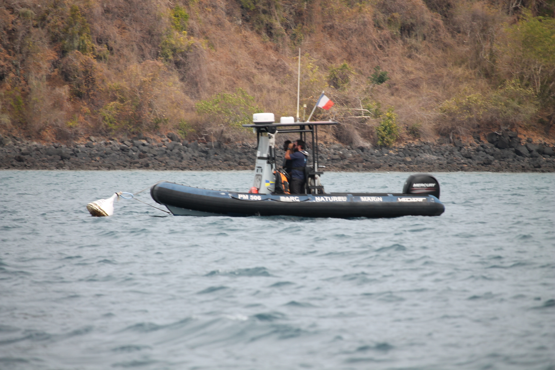 Un opérateur nautique sanctionné par le Parc naturel marin