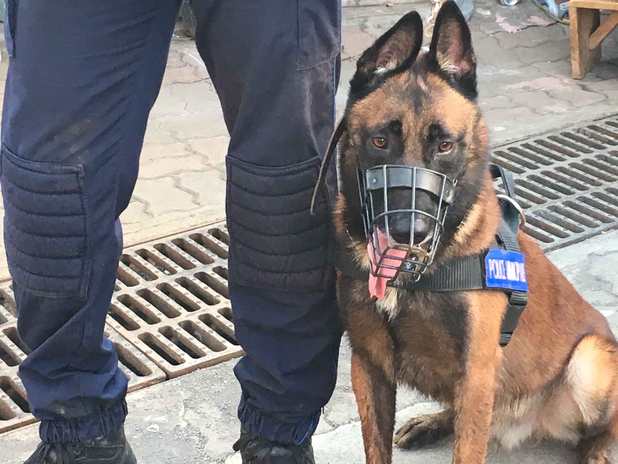 Opération de police à Mtsapéré au lendemain d’un caillassage sur des policiers du GSP (photos)
