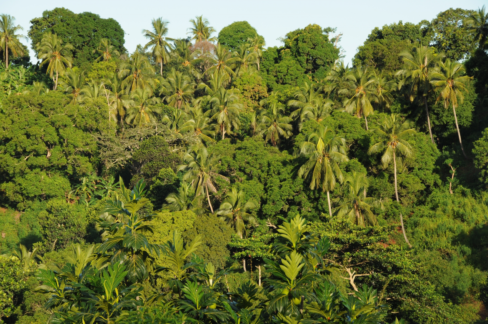 Environnement : les îles de l’Océan Indien confrontées aux conséquences du réchauffement climatique