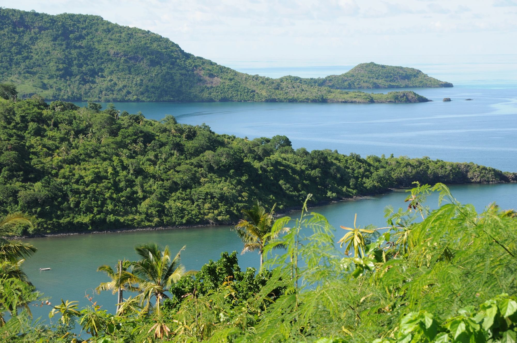 La compensation et la réparation environnementales : 2 outils pour prendre soin de la biodiversité