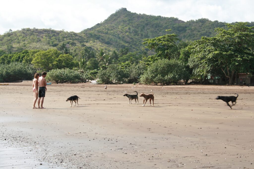 ISA IMG 2936 ID5283 2000x1335 1