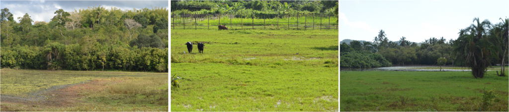 Exposition “Les zones humides à Mayotte”