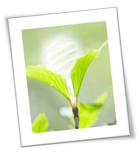 3ème édition du Baromètre des déchets de Mayotte©