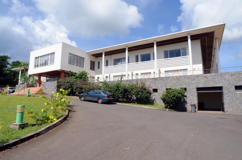 Reprise des conférences du CUFR vendredi, avec la protection des tortues