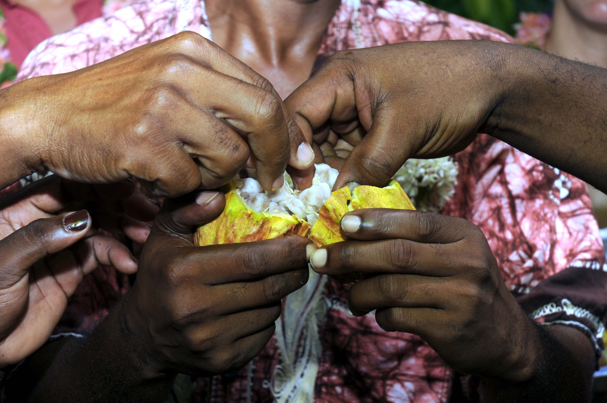 1er Comité de pilotage des établissements agricoles à Coconi