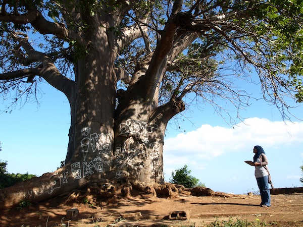 Journée mondiale des forêts