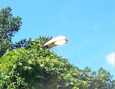 Insolite : la lumière de Soha