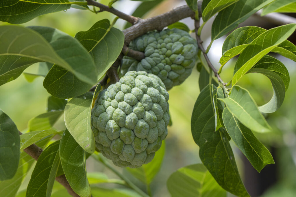 MARC DSC 0870 ID18246 4000x2667 1 scaled 1