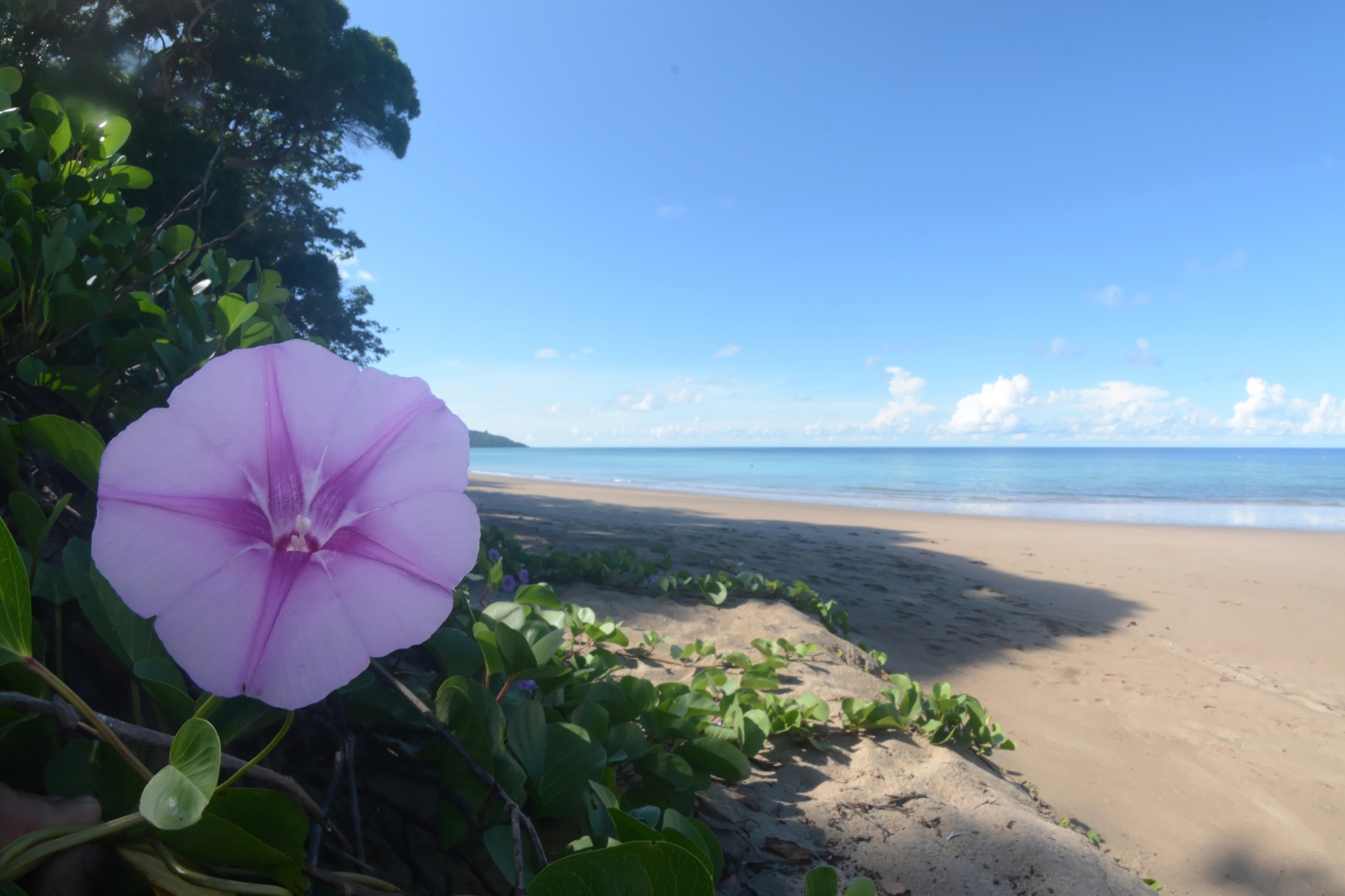 La plage N’gouja de nouveau ouverte à la baignade