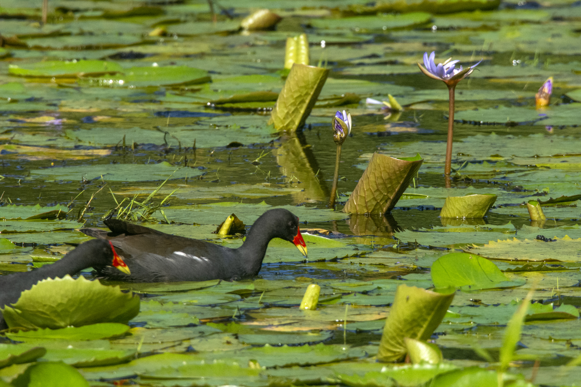 Une photo d’une scène qu’on espère revoir bientôt …