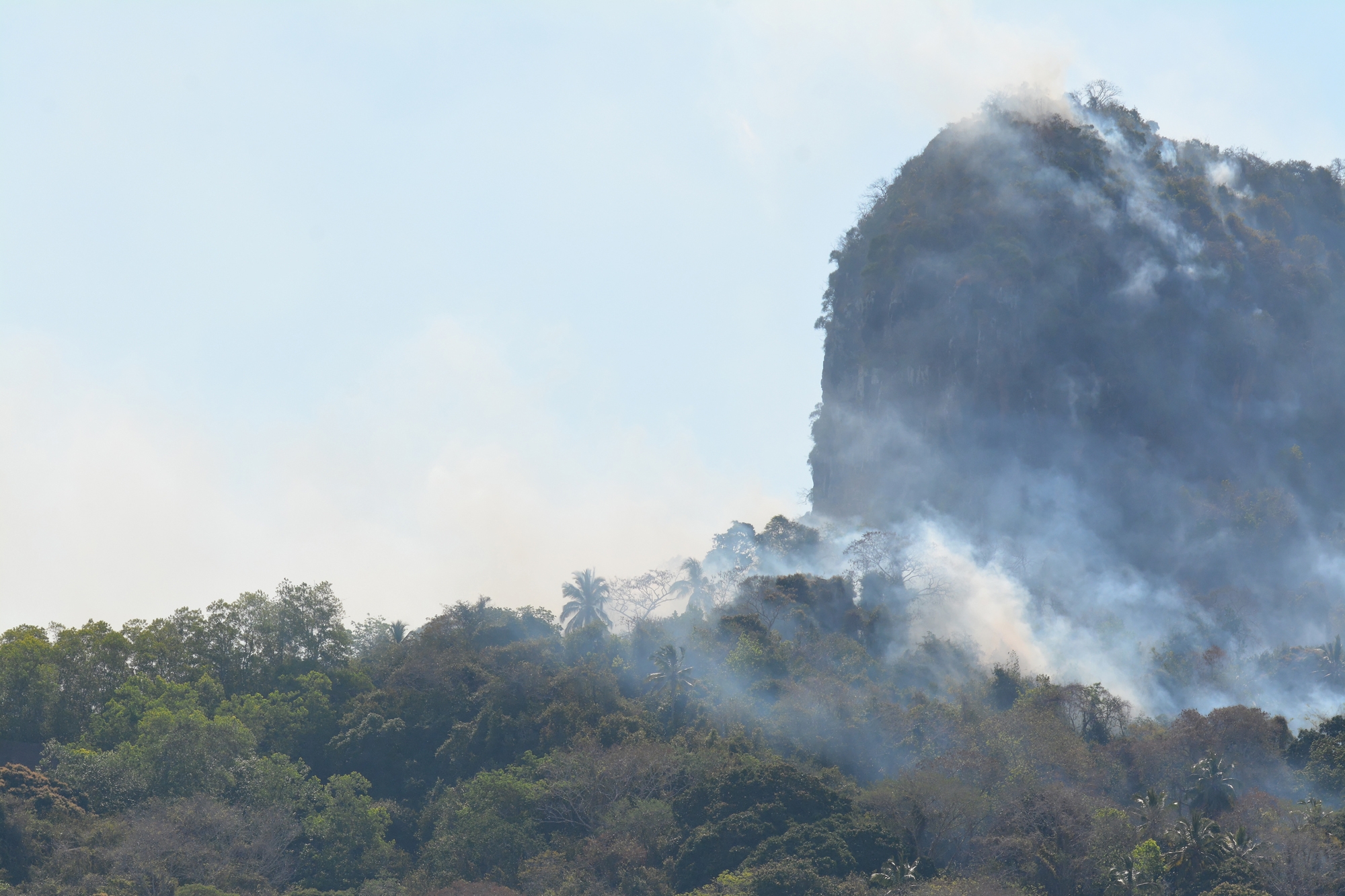 Que faire contre l’érosion des sols à Mayotte? Une conférence zoom sur le projet LESELAM