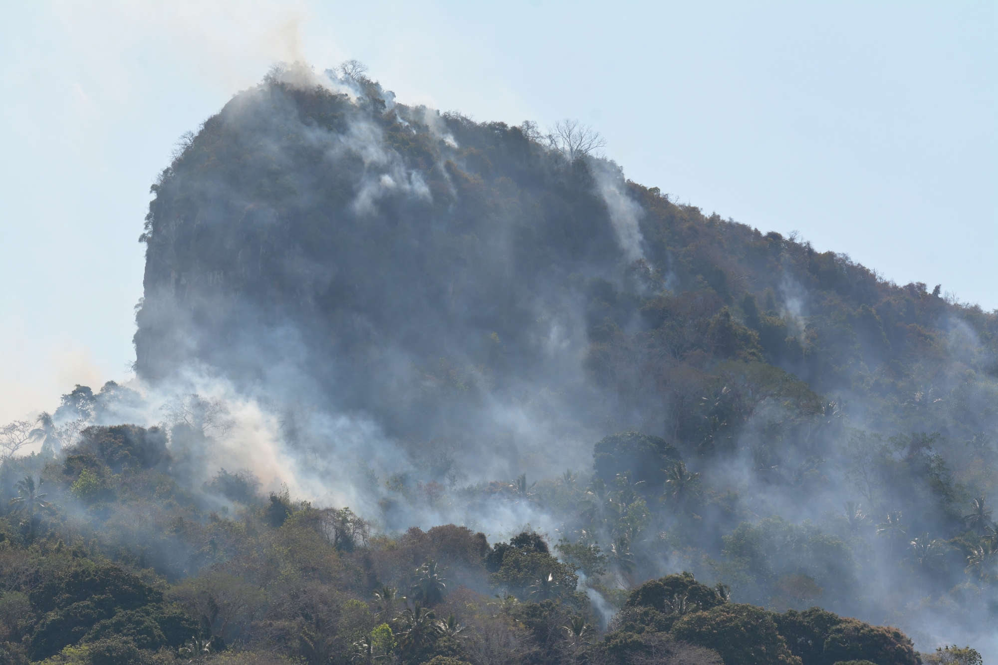 Lutter contre l’agriculture illégale sans relâche pour  protéger l’environnement