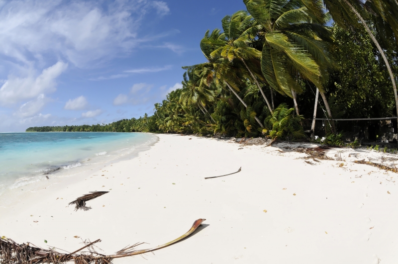 Une catastrophe écologique est en cours à l’île Maurice