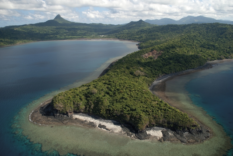 Les activités des Naturalistes de Mayotte en janvier 2021
