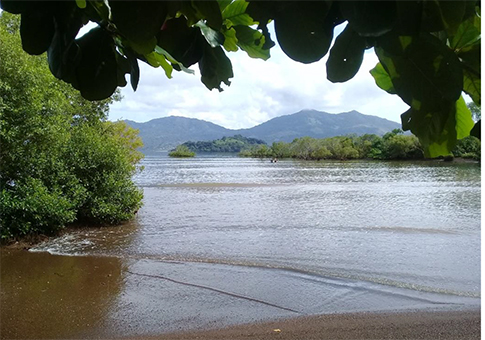 Mayotte Nature Environnement fête ses 10 ans d’existence