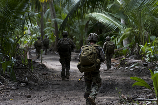 Une vaste opération interarmées où Mayotte a servi de point d’appui