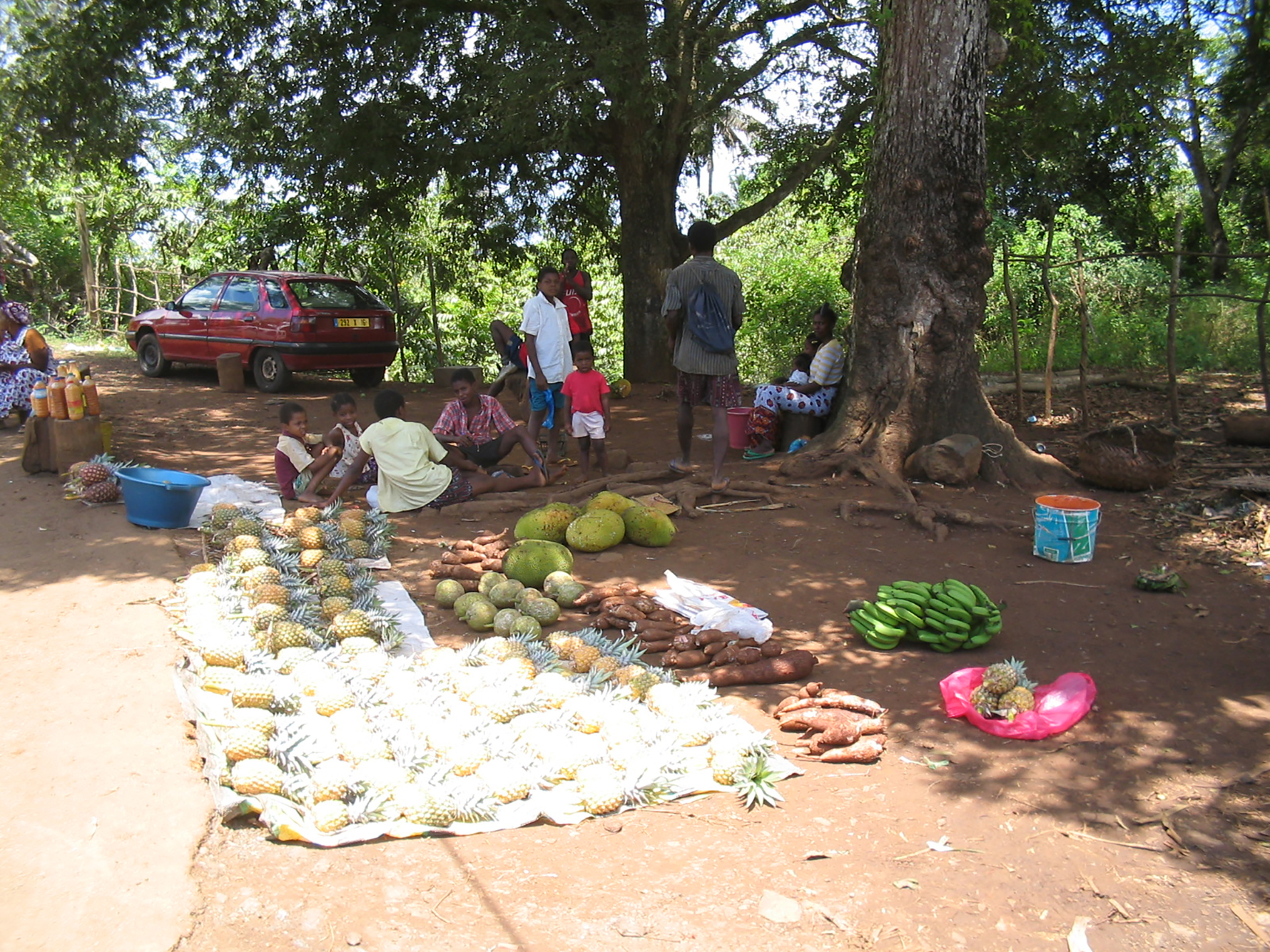 Le confinement a entrainé une crise économique à Mayotte évaluée par l’Insee à hauteur d’une chute d’activité de l’ordre de -18%