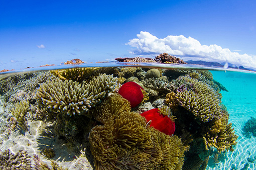 Mayotte présente au Festival de Cannes pour devenir un décor de cinéma ?