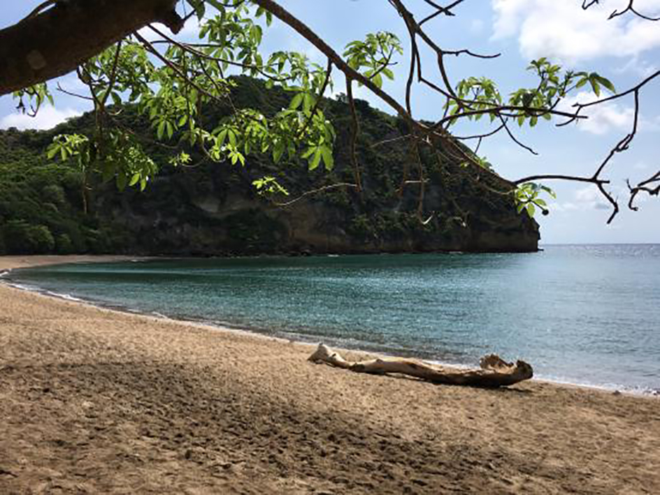 Un drôle de dimanche matin pour ceux qui voulaient profiter de la plage de Moya à Pamandzi