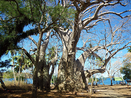 Terrible agression à Musical plage