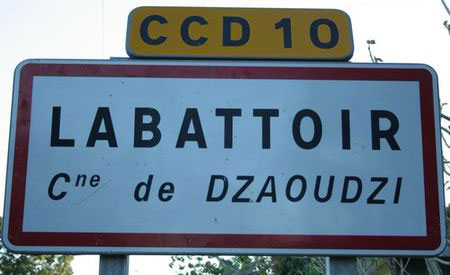 Intentions de vote : Canton de Dzaoudzi-Labattoir