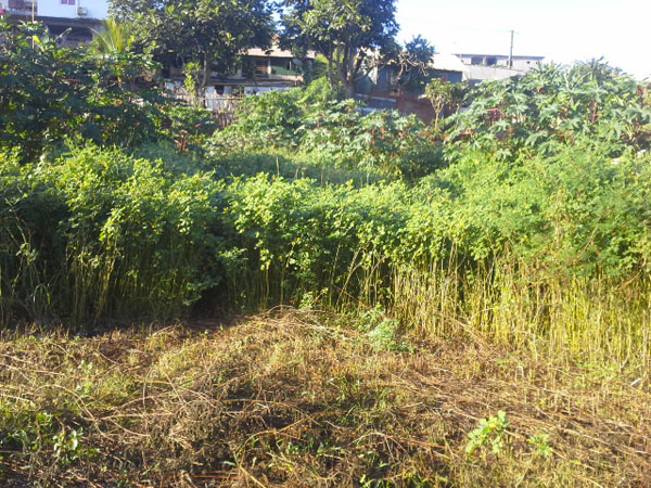 Un violeur en série à Hajangua ?