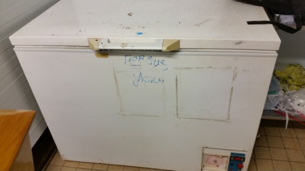 51 bébés dans le congélateur du CHM