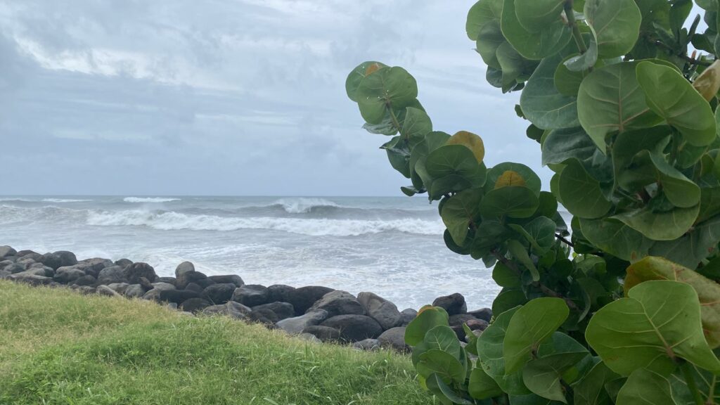 PHOTO 2024 01 14 15 43 15