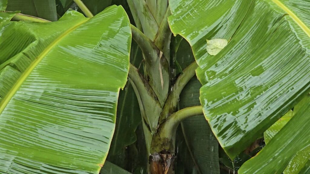 PHOTO 2024 03 04 17 15 58