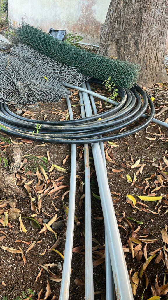 PHOTO 2024 06 11 17 08 28