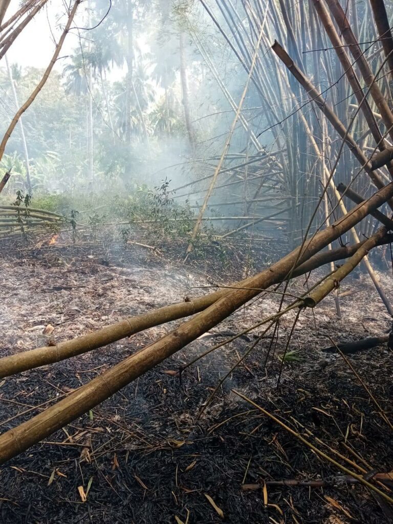 PHOTO 2024 10 14 14 18 20