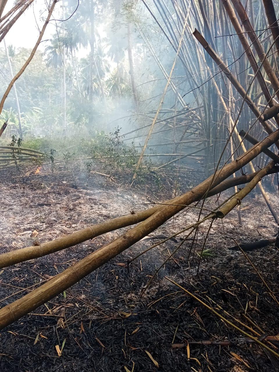 Un feu de végétation en cours à Soulou